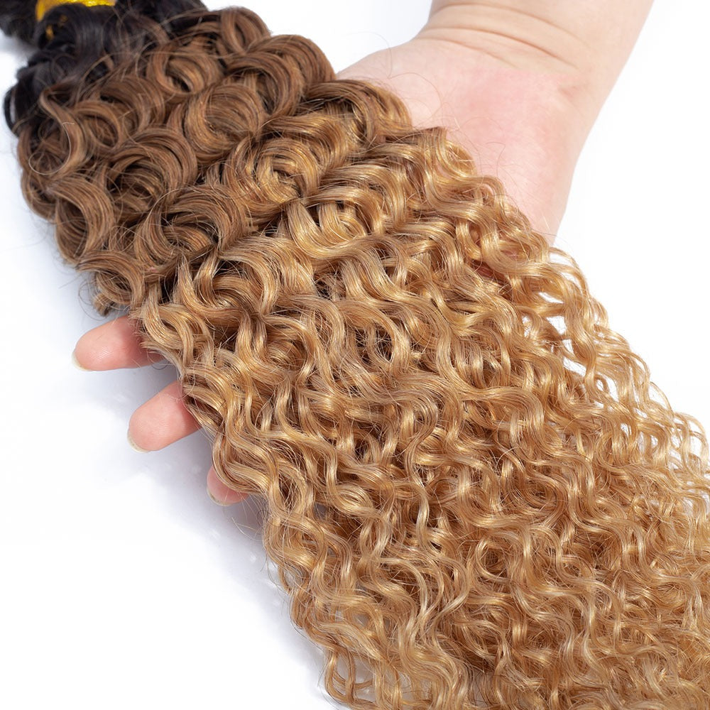 10A Grade Ombre #27 Kinky Curly #1B/4/27 BUNDLES with 4x4 CLOSURES & 1 - GlamAura