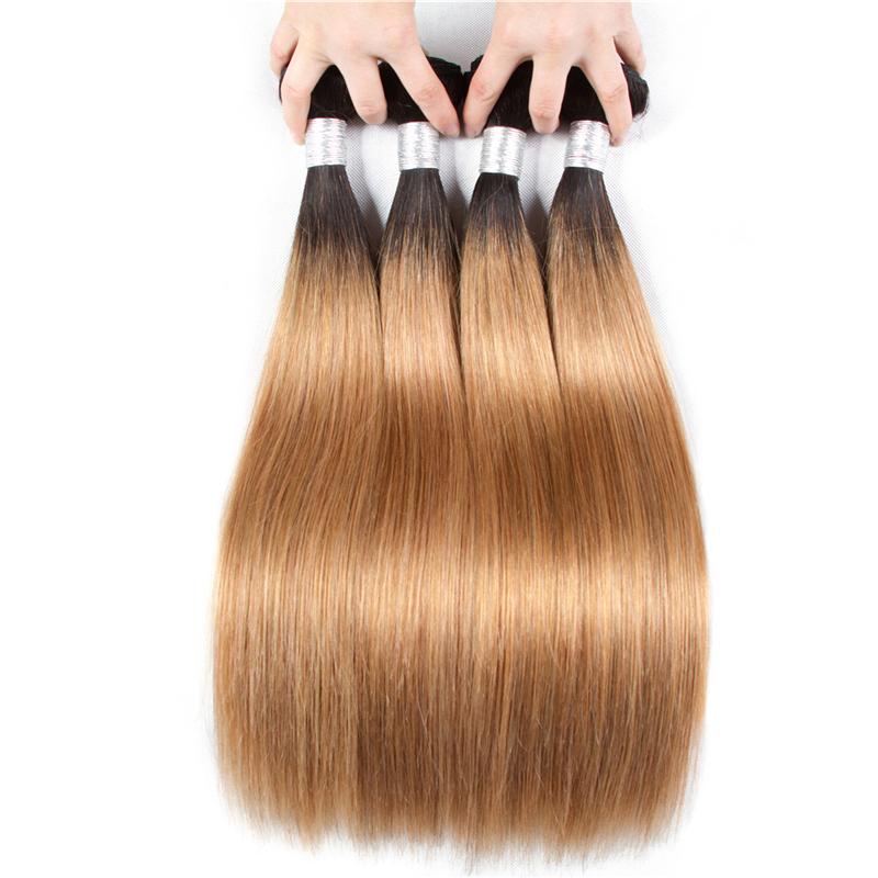 BeuMax 1B/27 Straight Hair BUNDLES with CLOSURES & FRONTALS - GlamAura