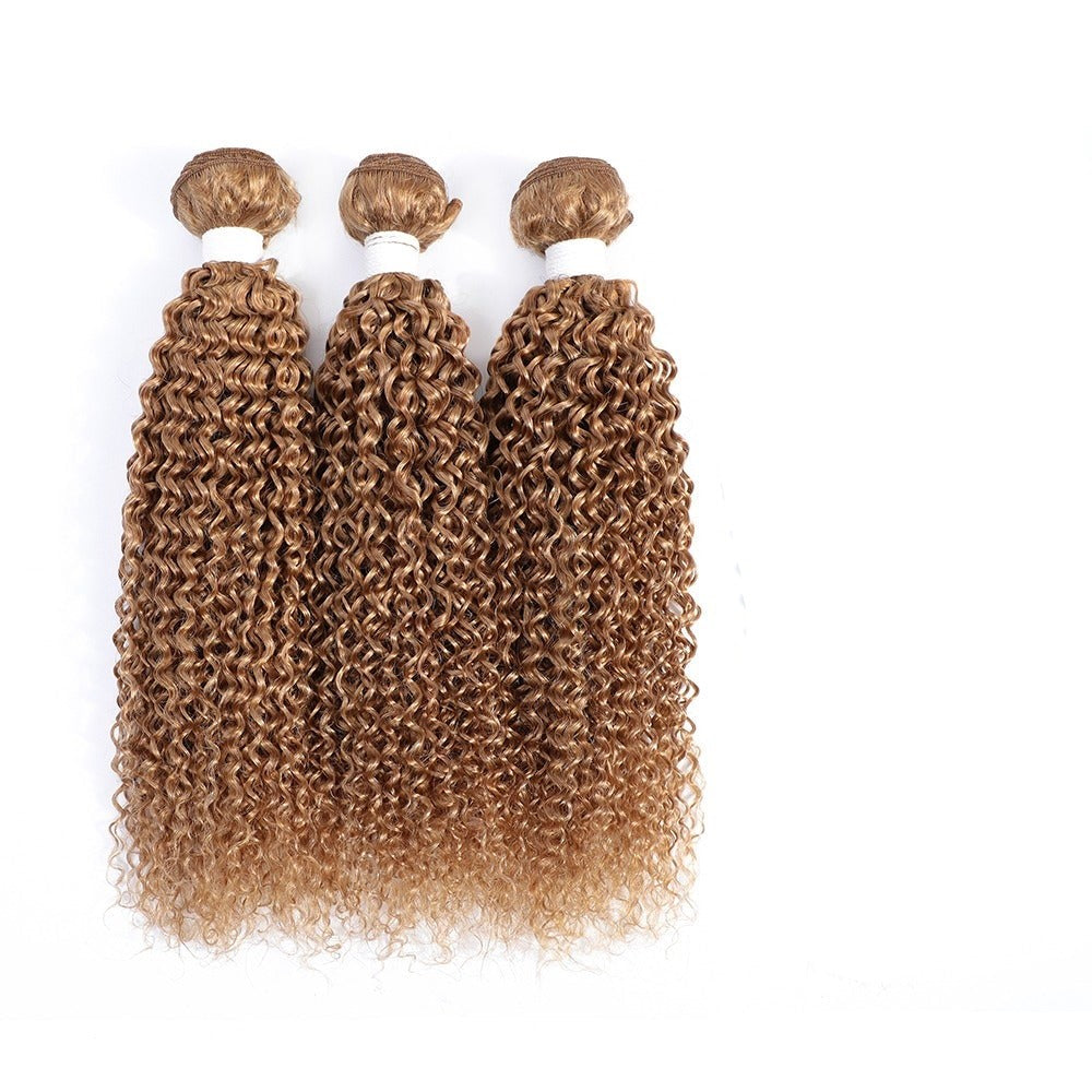 10A Grade Ombre #27 Kinky Curly #1B/4/27 BUNDLES with 4x4 CLOSURES & 1 - GlamAura