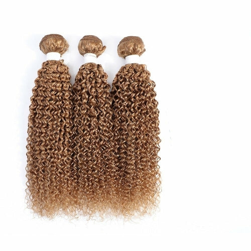10A Grade Ombre #27 Kinky Curly #1B/4/27 BUNDLES with 4x4 CLOSURES & 1 - GlamAura