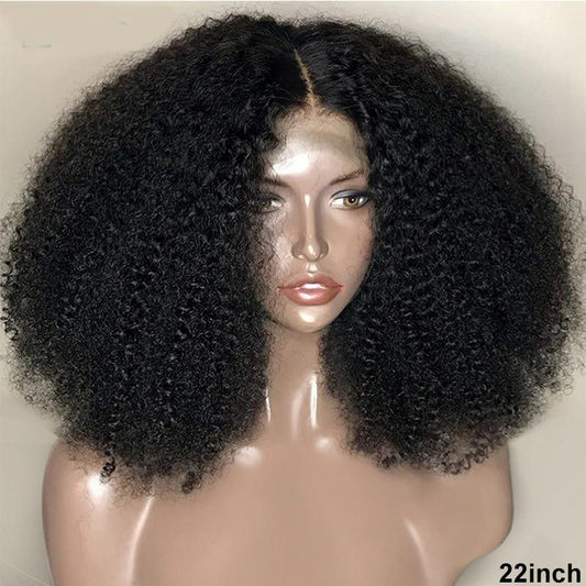 BeuMax Brazilian 13x4 Afro Kinky Curly Lace Front Human Hair Wigs - GlamAura