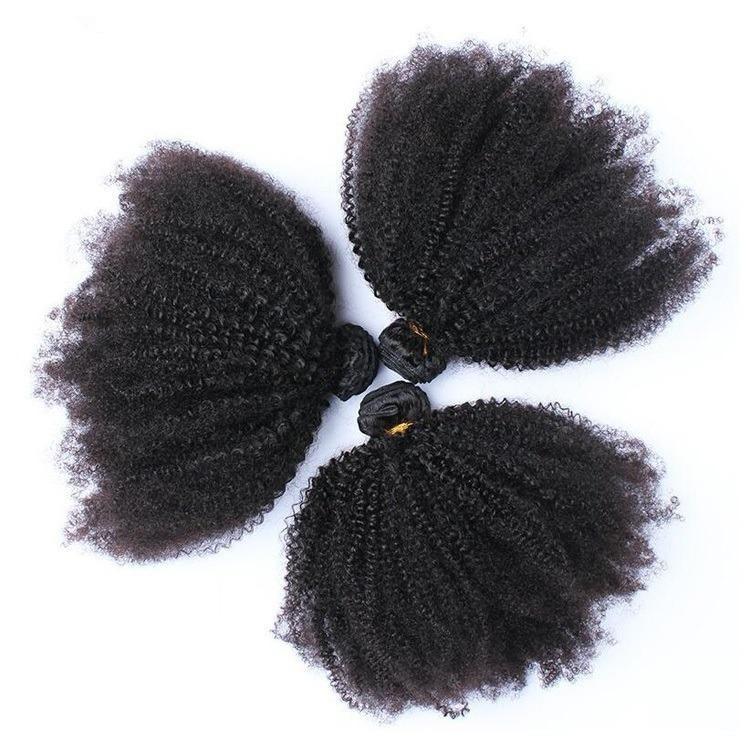 10A Grade 1/3/4 Afro Kinky Curly Vietnam Human Hair Extension Bundles - GlamAura